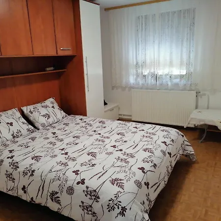 Dom wakacyjny Bela Golobica *