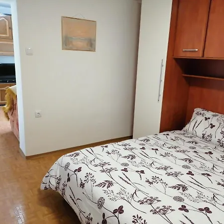 Bela Golobica Σπίτι διακοπών Bogojina