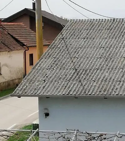 Bela Golobica Dom wakacyjny Bogojina