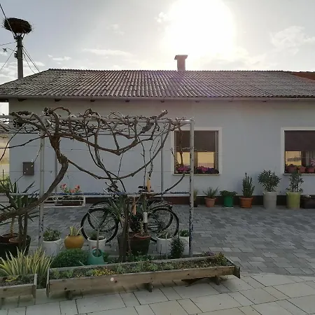 Σπίτι διακοπών Bela Golobica Bogojina