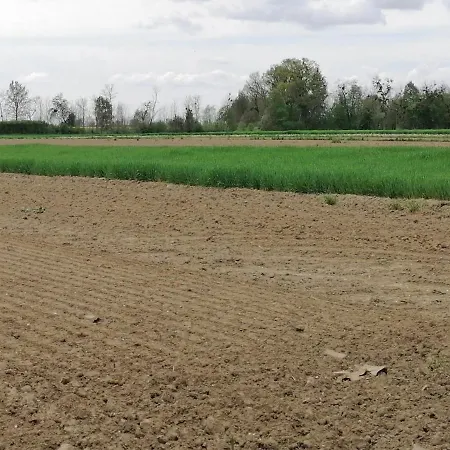 Σπίτι διακοπών Bela Golobica Bogojina