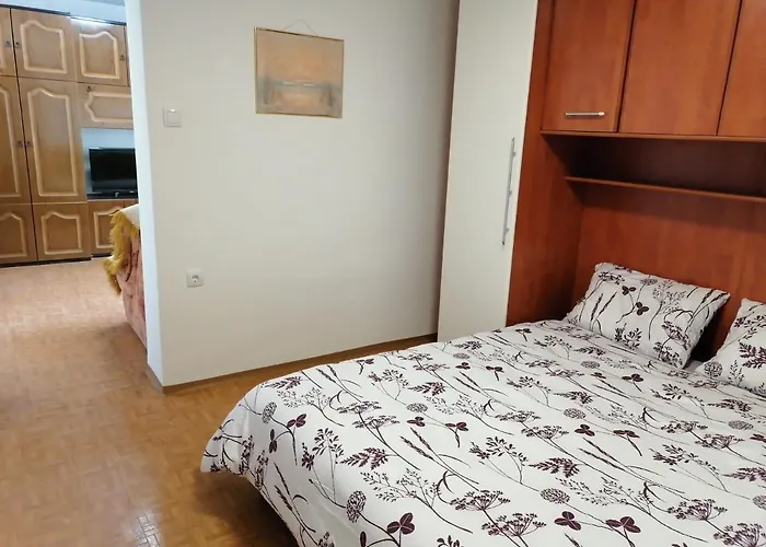 Bela Golobica Σπίτι διακοπών Bogojina