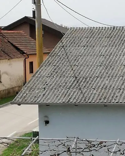 Bela Golobica Casa vacanze Bogojina