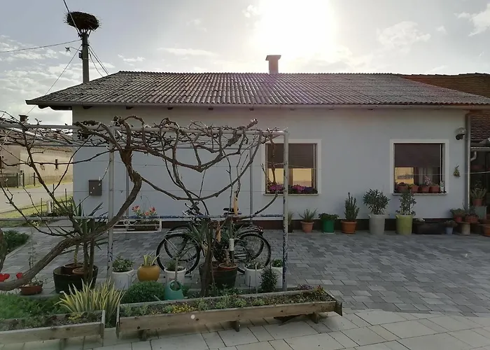 Casa vacanze Bela Golobica Bogojina