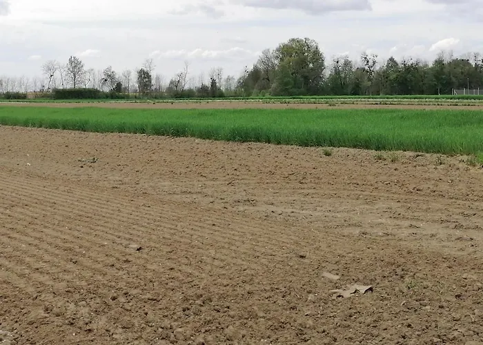 Σπίτι διακοπών Bela Golobica Bogojina